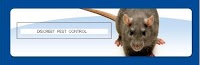 Discreet Pest Control-S and W.Wales 377033 Image 1